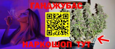 гидропоника Бийск