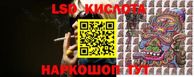 гидропоника Бийск