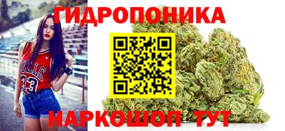 гидропоника Бийск