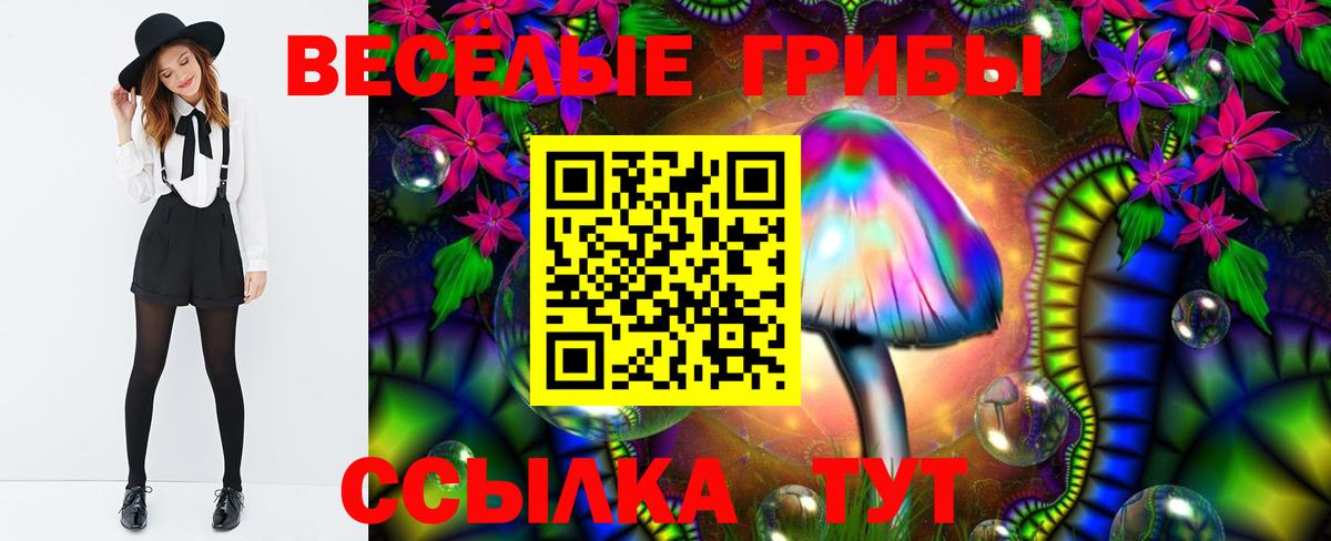 Галлюциногенные грибы прущие грибы Верхний Уфалей