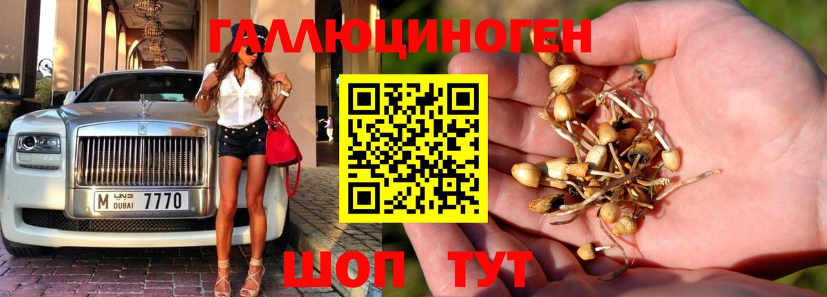 Псилоцибиновые грибы ЛСД  Вход с VPN  Верхний Уфалей  Псилоцибиновые грибы Magic Shrooms 